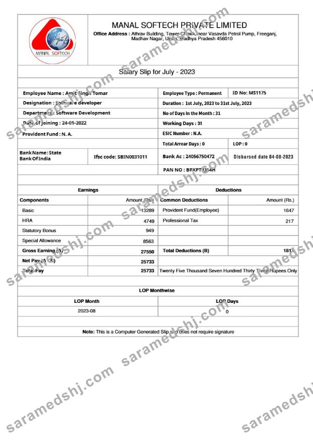 Manal Softech salary slip template in Word and PDF formats.pdf, 1